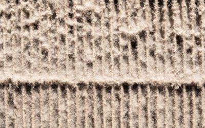 3 Ways to Improve Indoor Air Quality