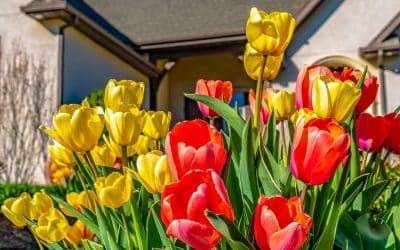 How To Get Your HVAC Systems Ready For Spring