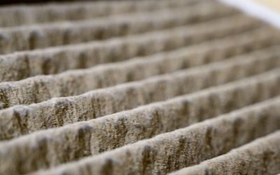 Why Does My AC Smell Musty?